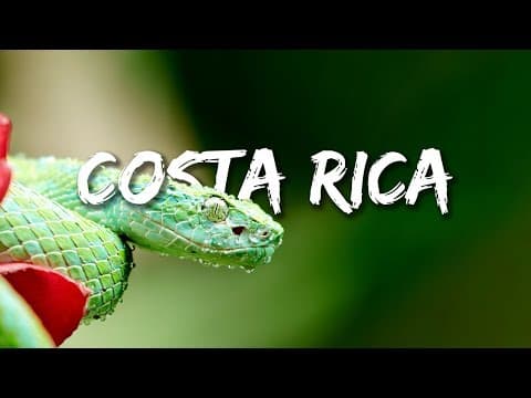 Vibrant Stop-Motion Commercial Loop - Portfolio item by Sadia Labonno